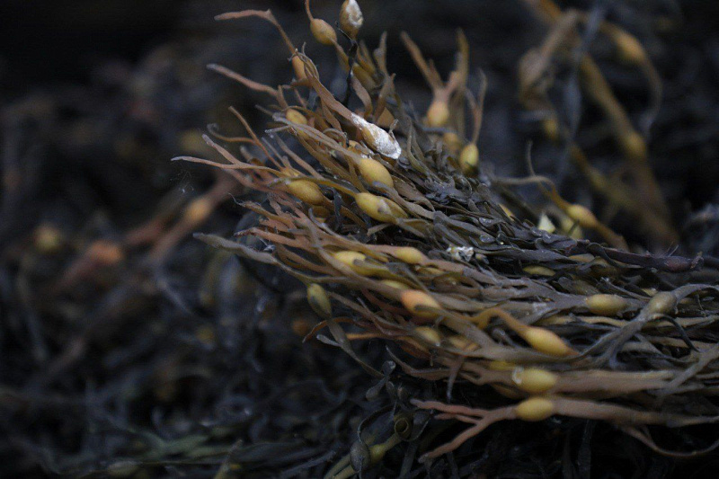 jmjpwymmpsex140cihi4v9edsgtzpw1p